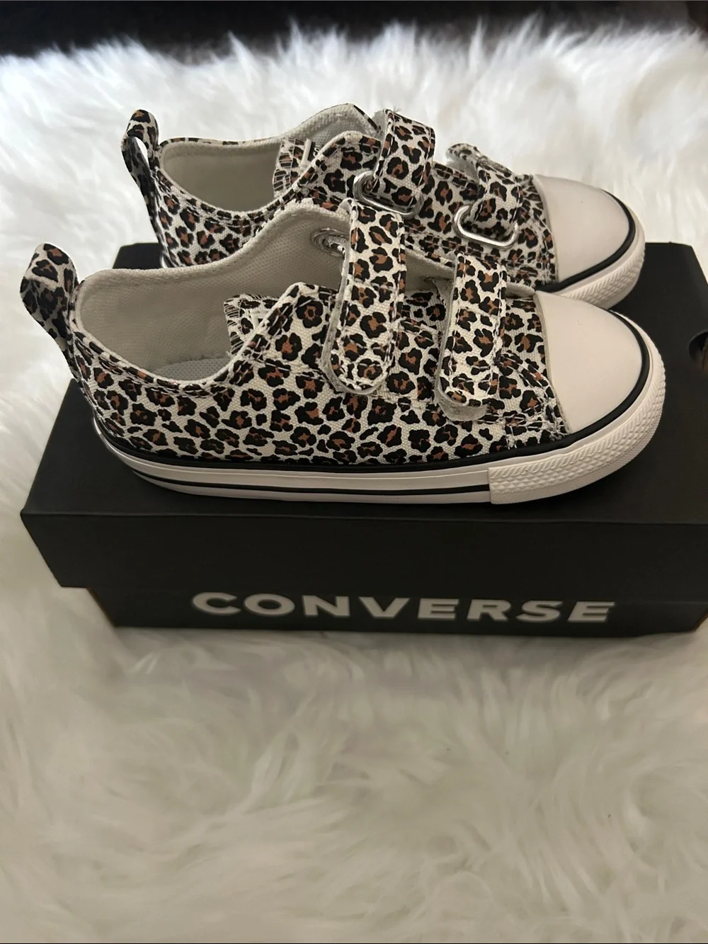New in box cheetah print converse shoes size 9